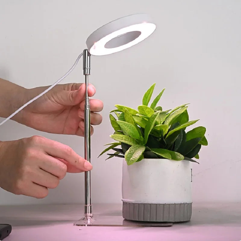 LED Angel Ring Plant Light - Timer, USB, Full Spectrum