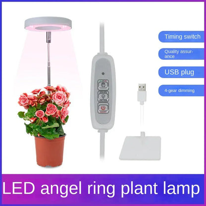 LED Angel Ring Plant Light - Timer, USB, Full Spectrum