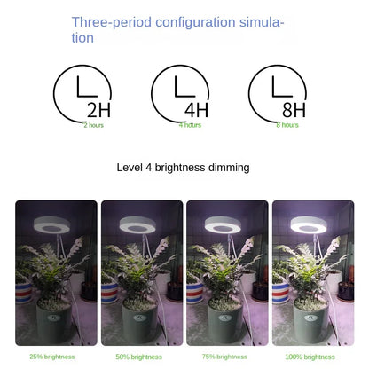 LED Angel Ring Plant Light - Timer, USB, Full Spectrum